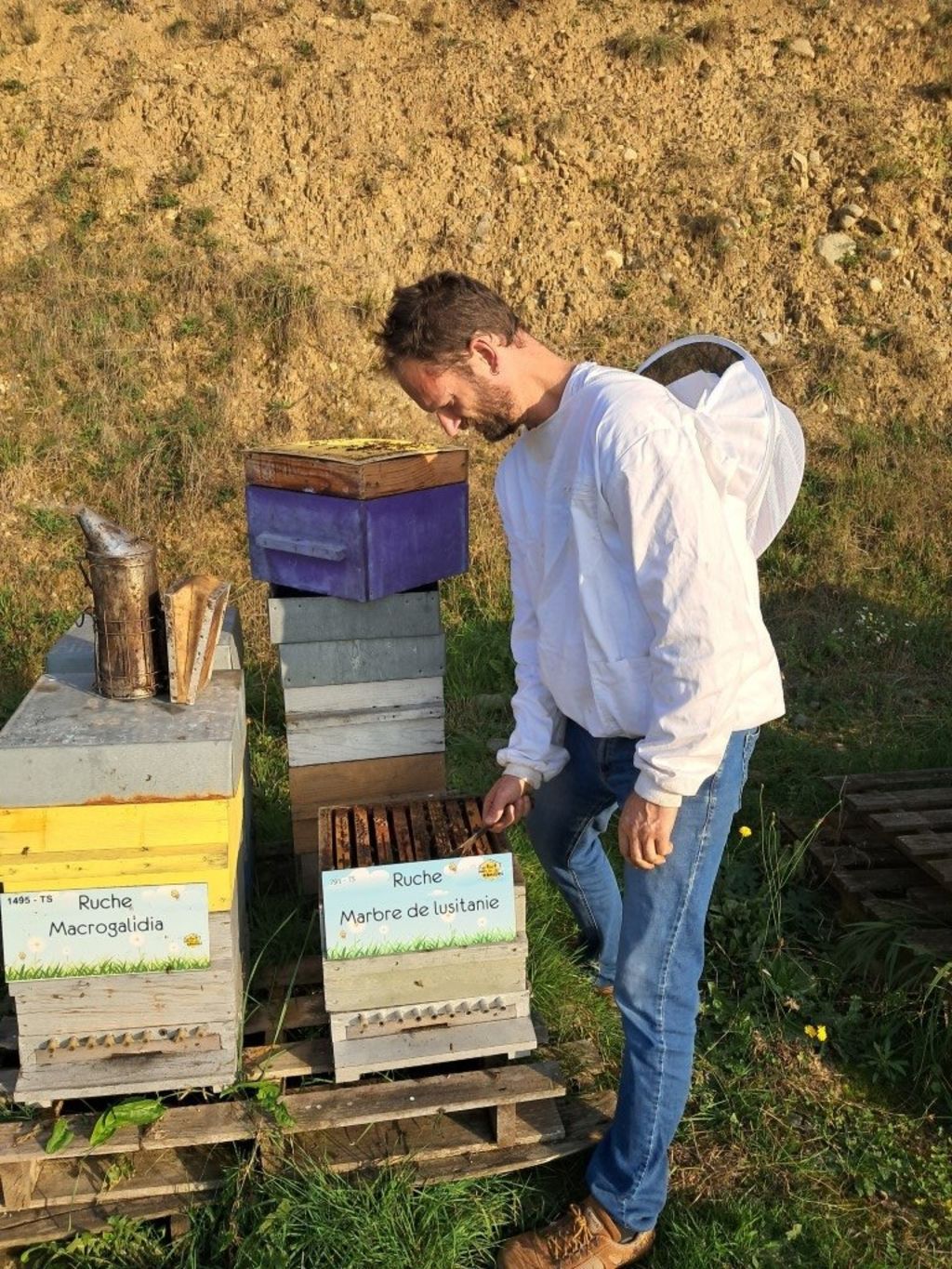 La ruche Marbre de lusitanie