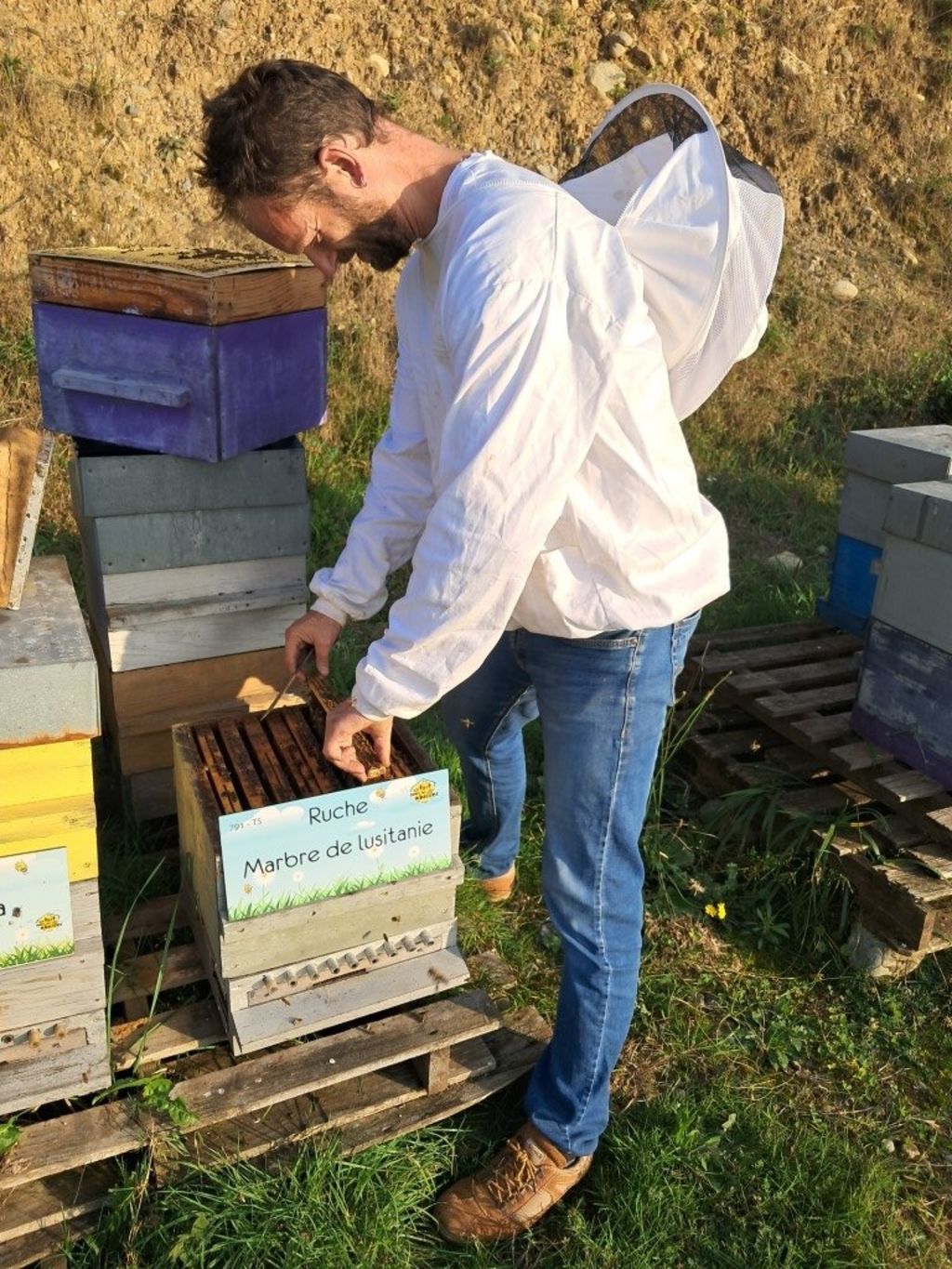 La ruche Marbre de lusitanie