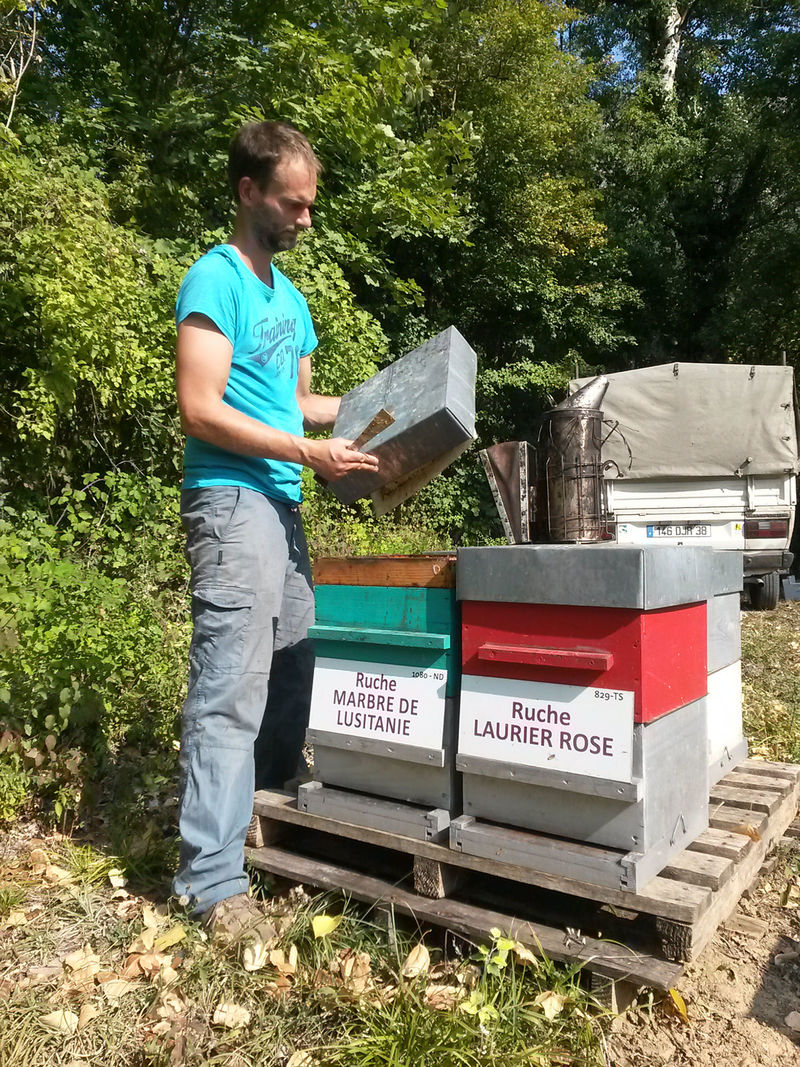 La ruche Marbre de lusitanie