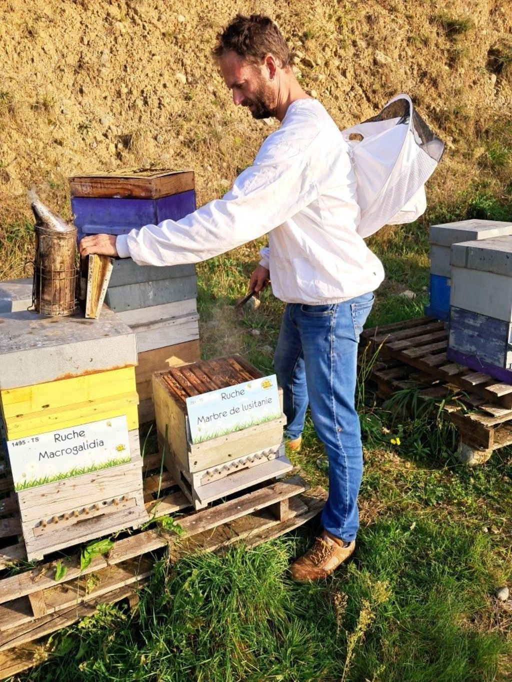 La ruche Marbre de lusitanie