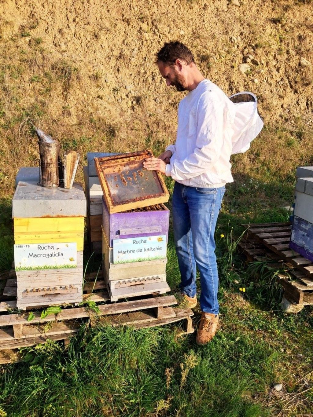 La ruche Marbre de lusitanie
