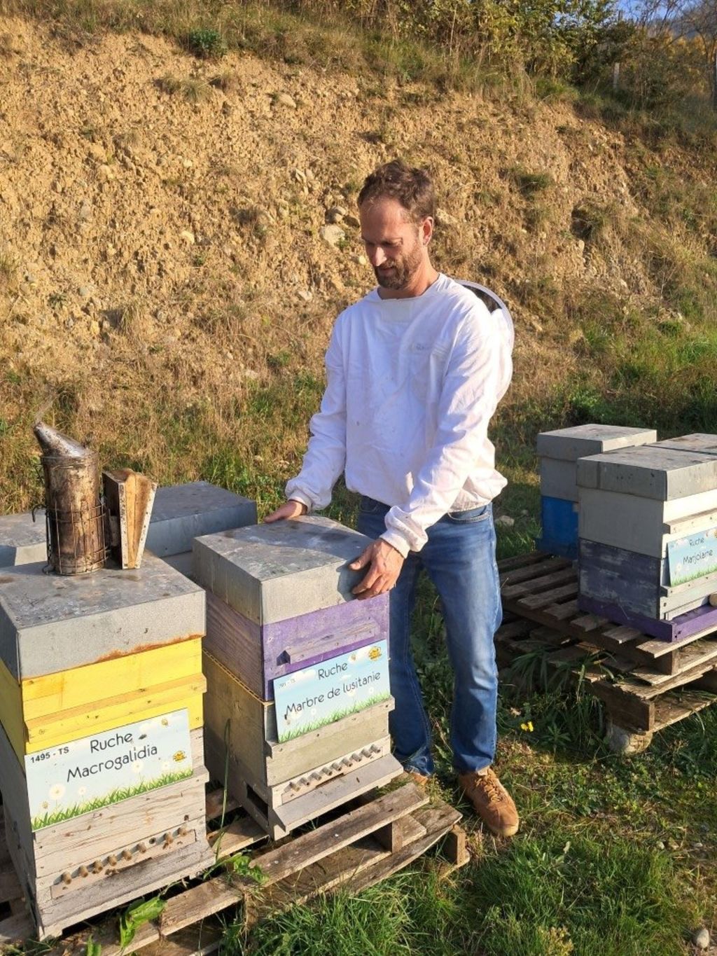 La ruche Marbre de lusitanie