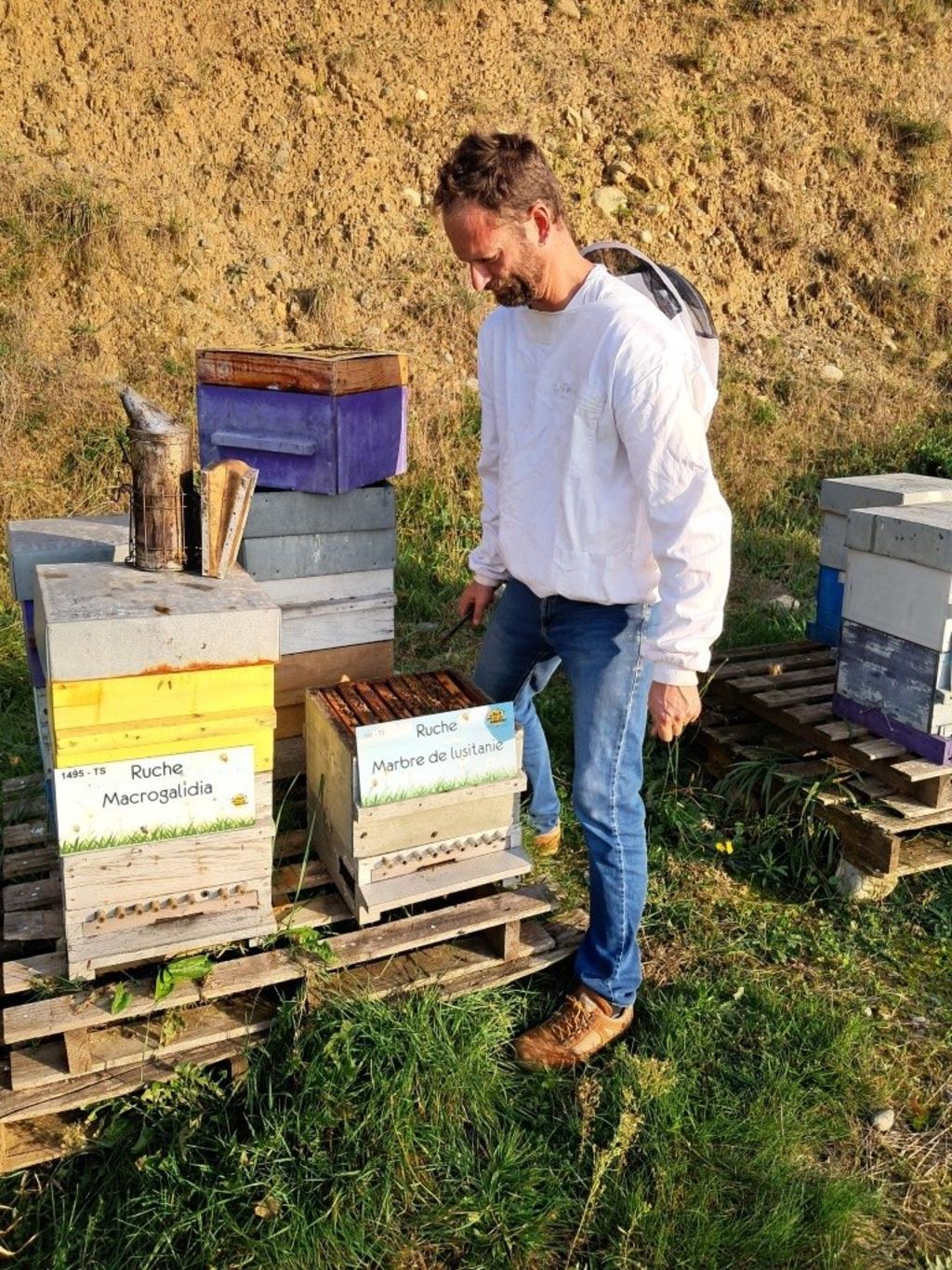 La ruche Marbre de lusitanie