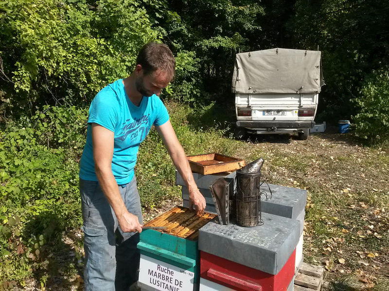 La ruche Marbre de lusitanie