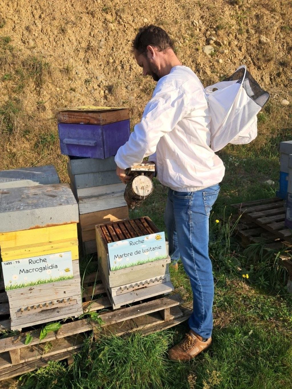 La ruche Marbre de lusitanie
