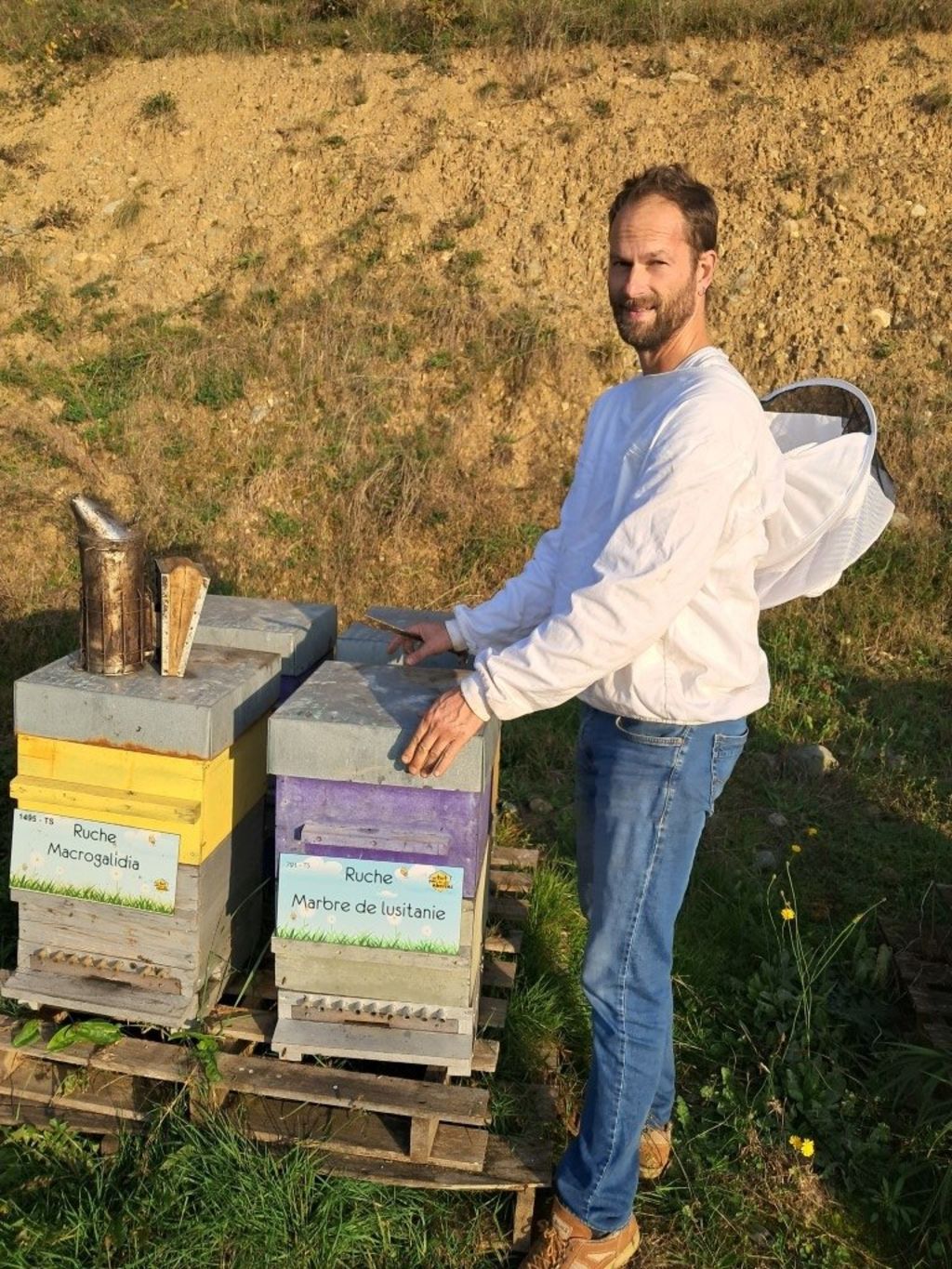 La ruche Marbre de lusitanie