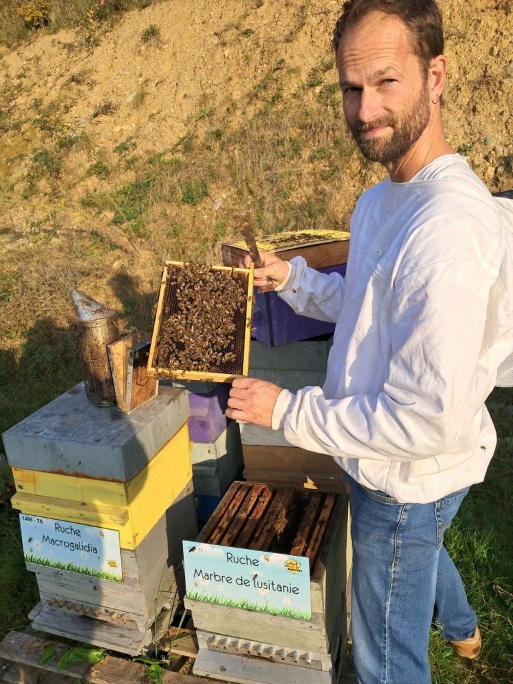 La ruche Marbre de lusitanie