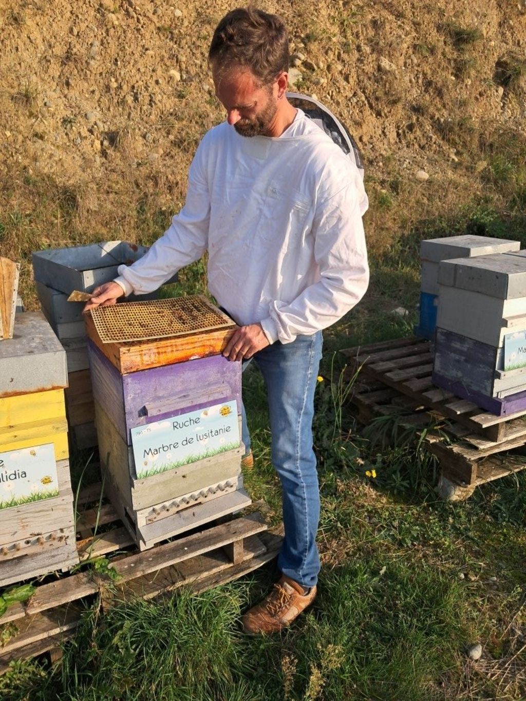 La ruche Marbre de lusitanie