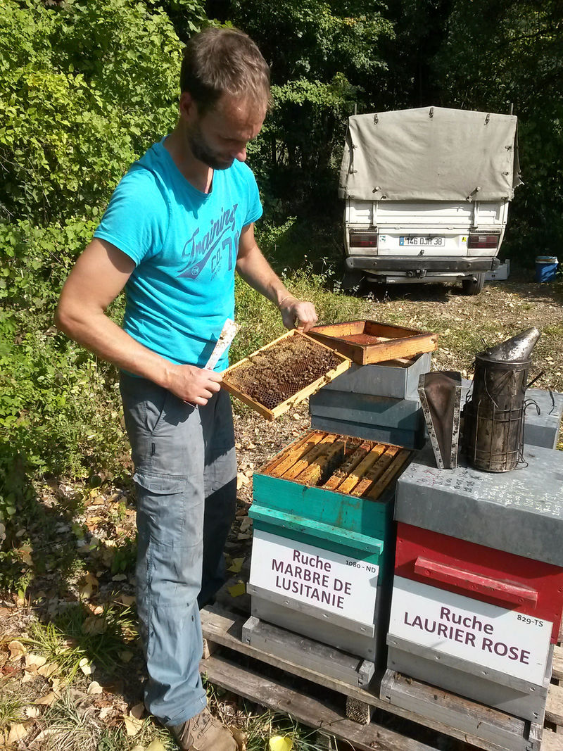 La ruche Marbre de lusitanie