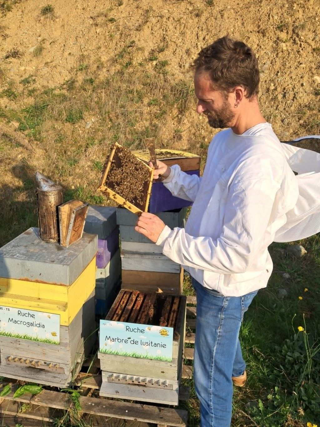 La ruche Marbre de lusitanie