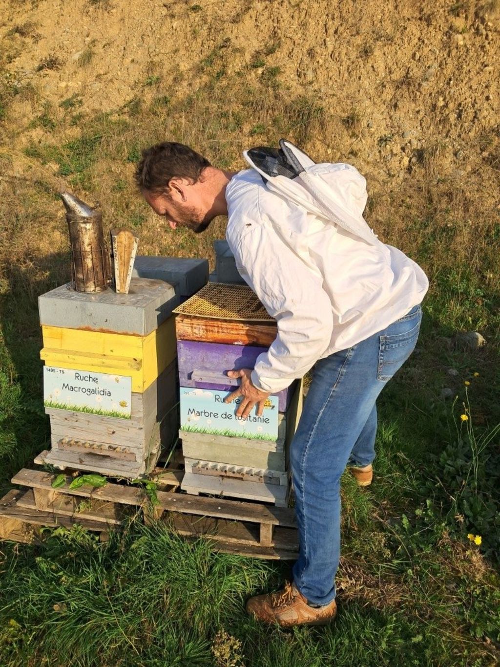 La ruche Marbre de lusitanie
