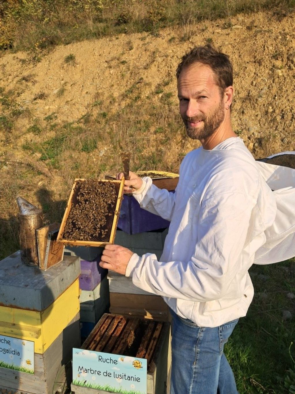 La ruche Marbre de lusitanie