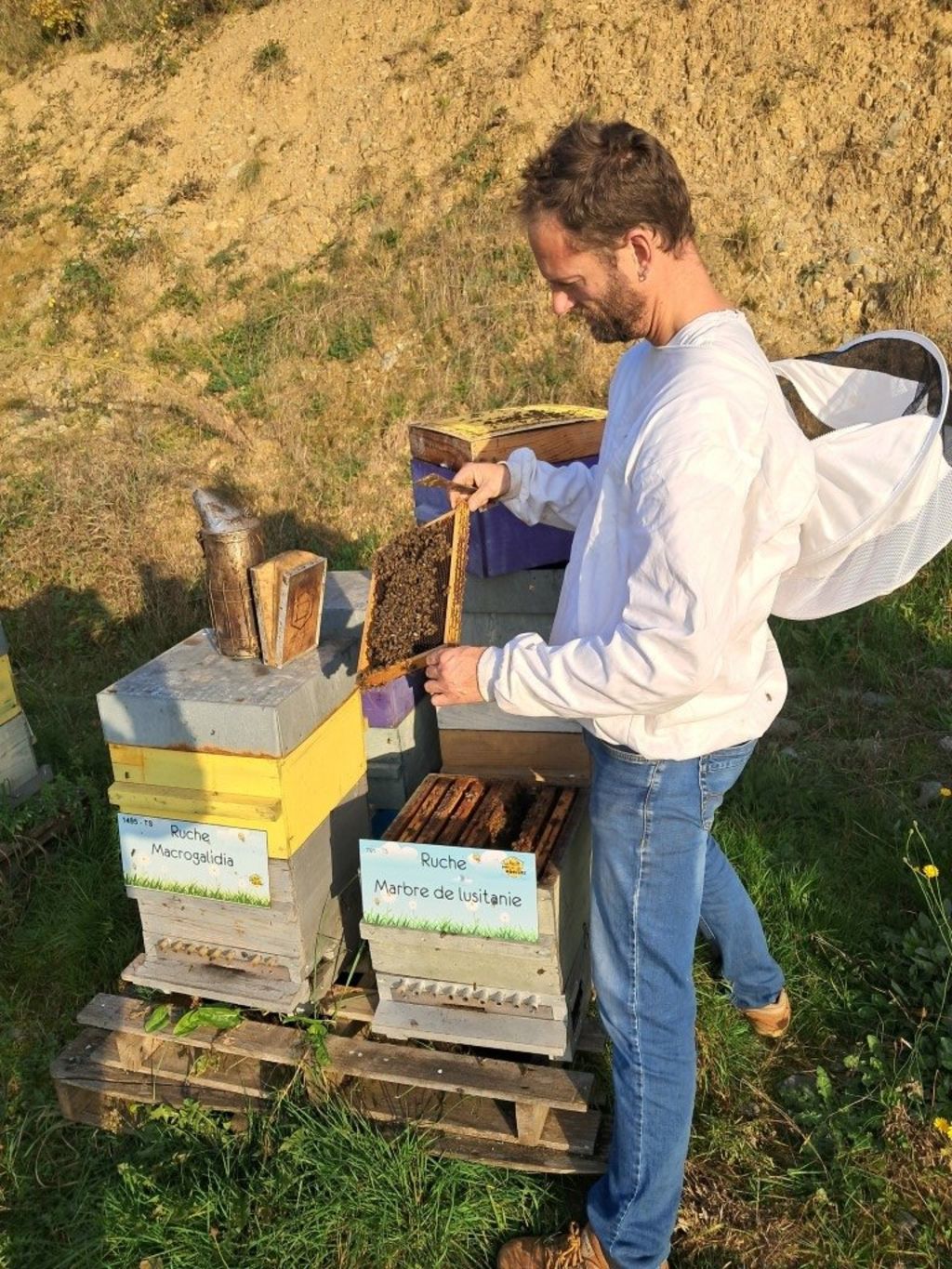 La ruche Marbre de lusitanie