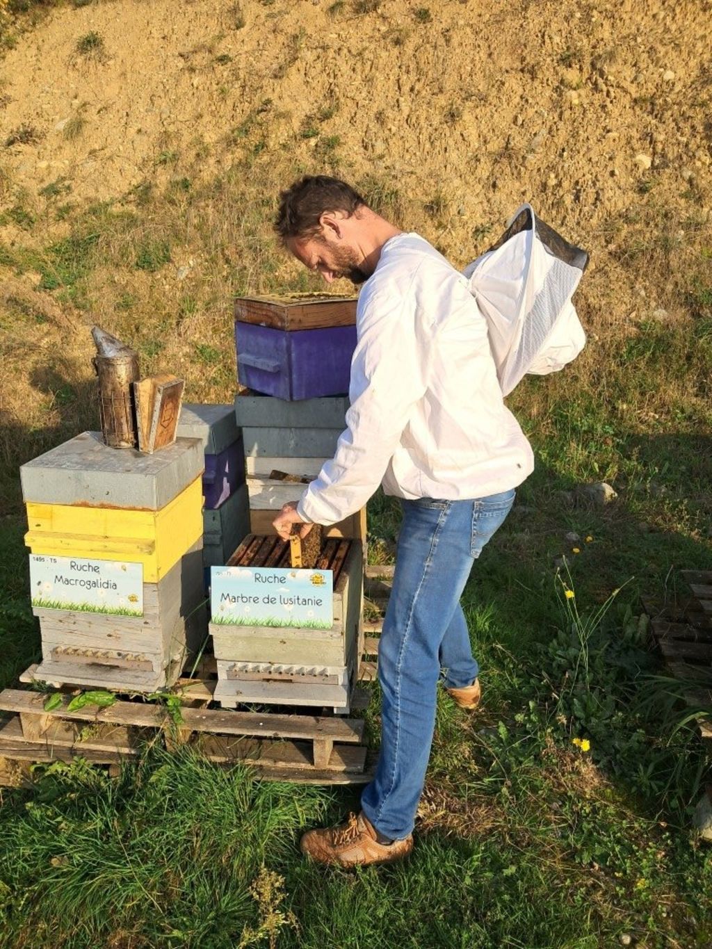 La ruche Marbre de lusitanie