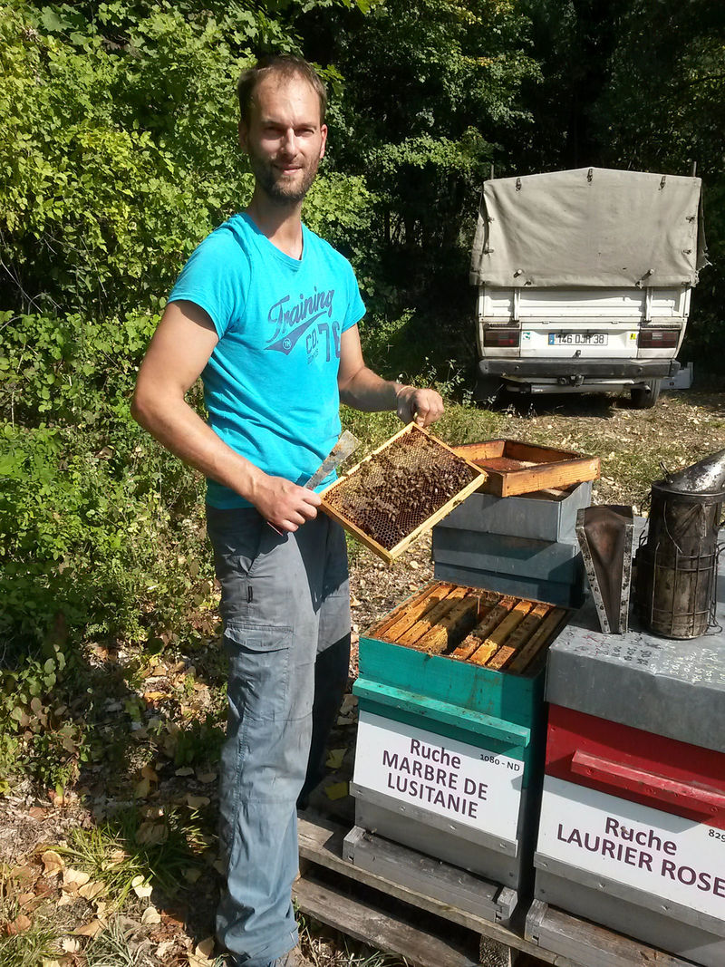 La ruche Marbre de lusitanie