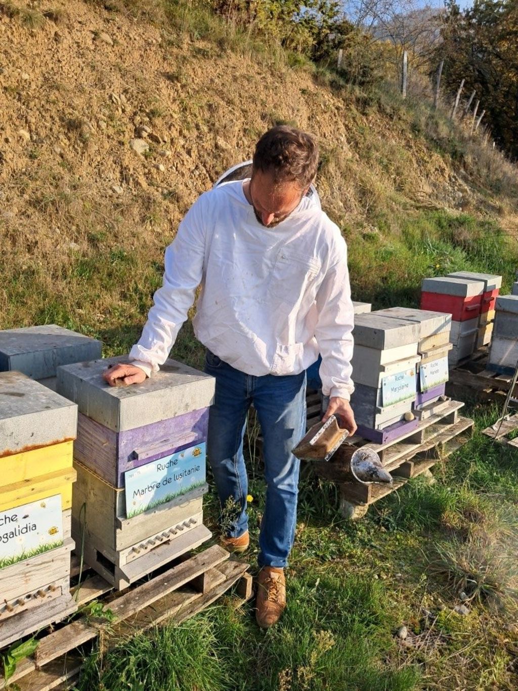 La ruche Marbre de lusitanie