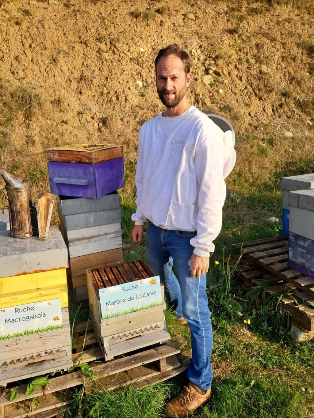 La ruche Marbre de lusitanie