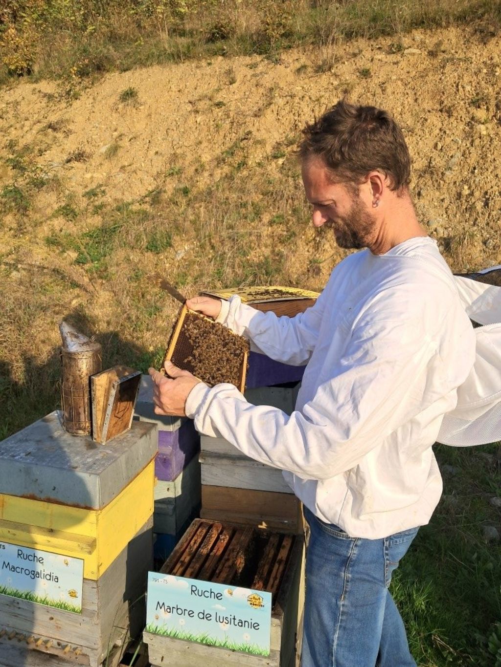 La ruche Marbre de lusitanie