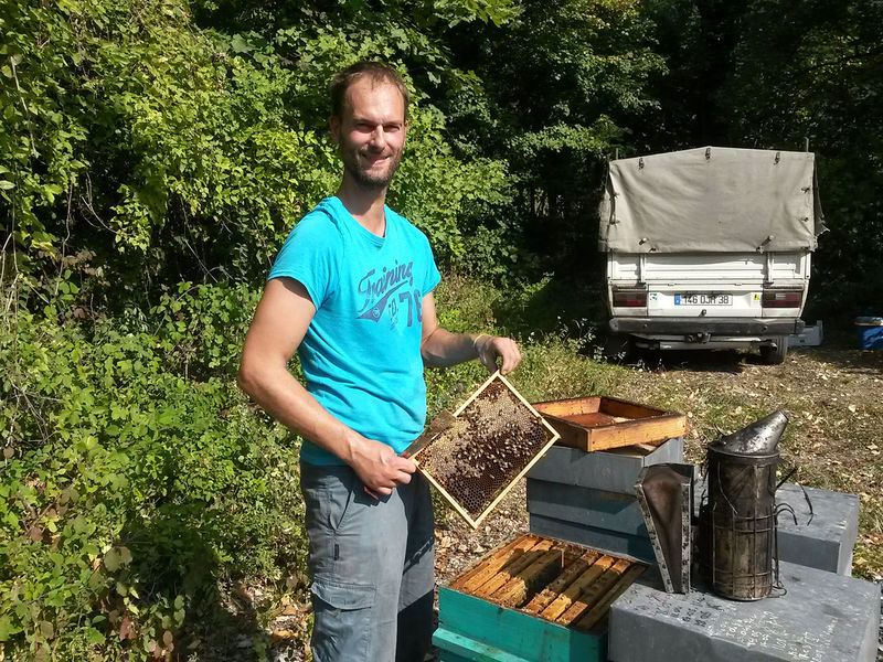 La ruche Marbre de lusitanie