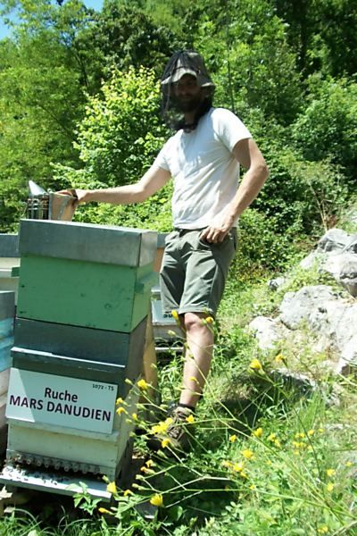 La ruche Mars danudien