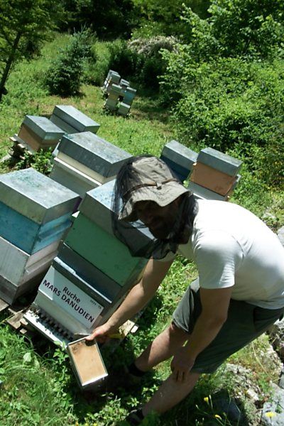 La ruche Mars danudien