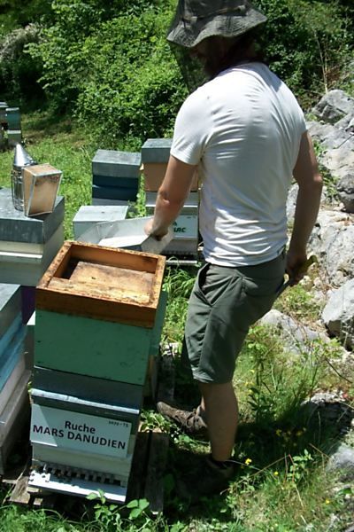 La ruche Mars danudien