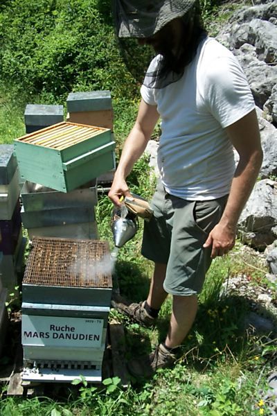 La ruche Mars danudien