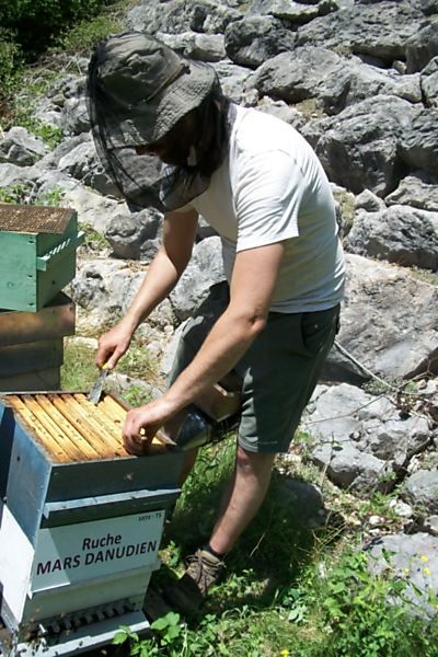 La ruche Mars danudien