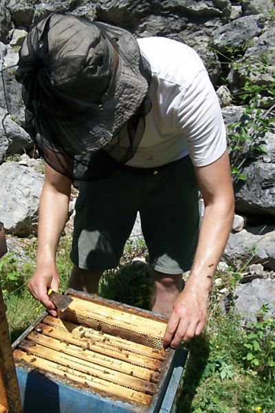 La ruche Mars danudien
