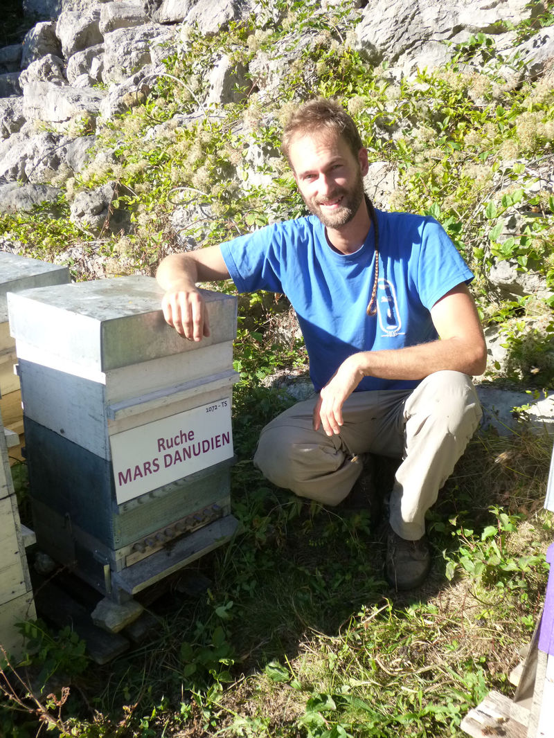 La ruche Mars danudien