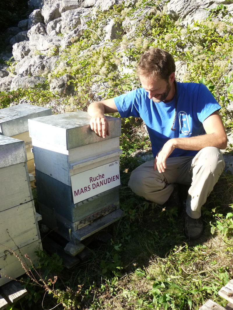 La ruche Mars danudien