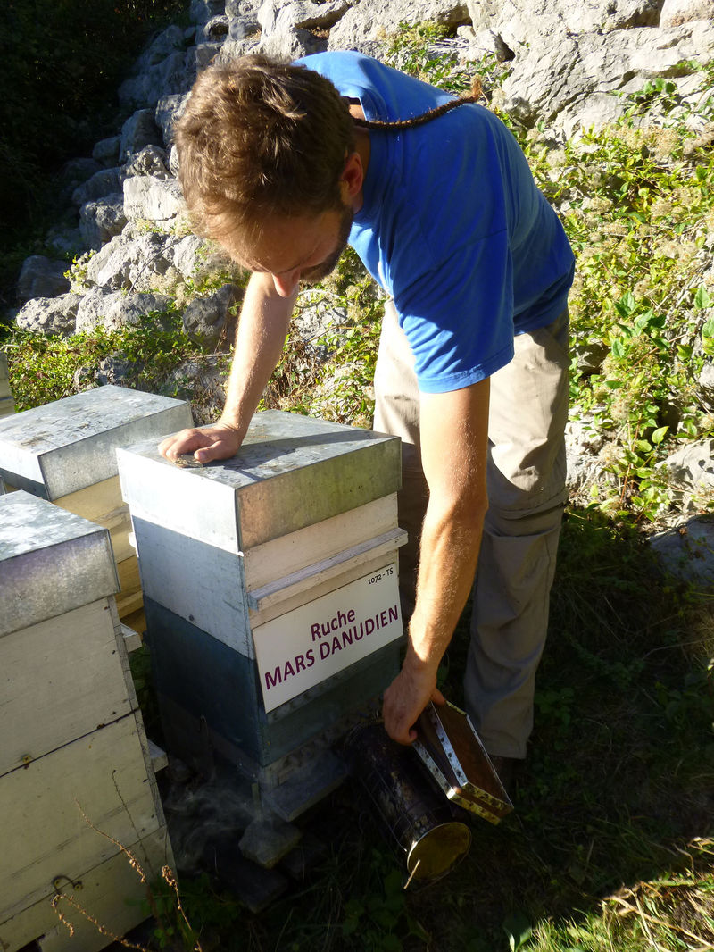 La ruche Mars danudien