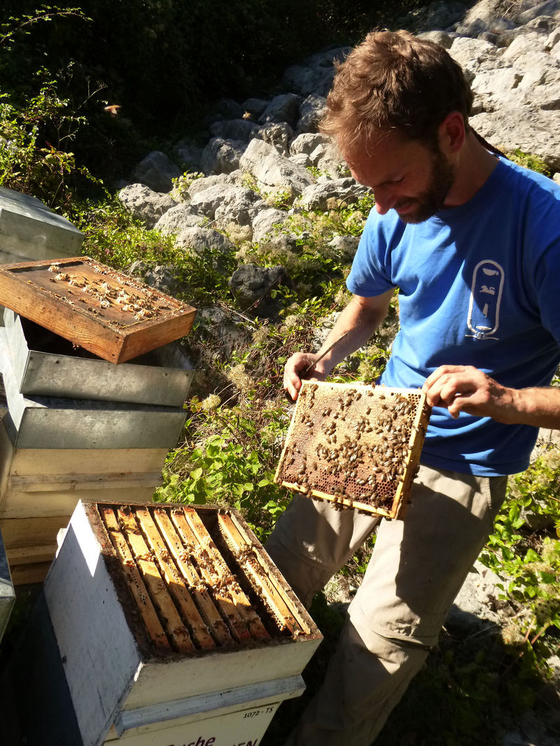 La ruche Mars danudien