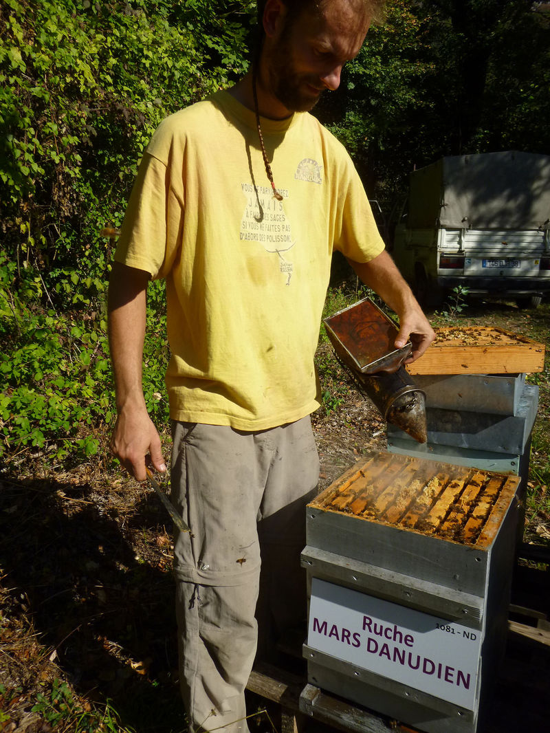 La ruche Mars danudien