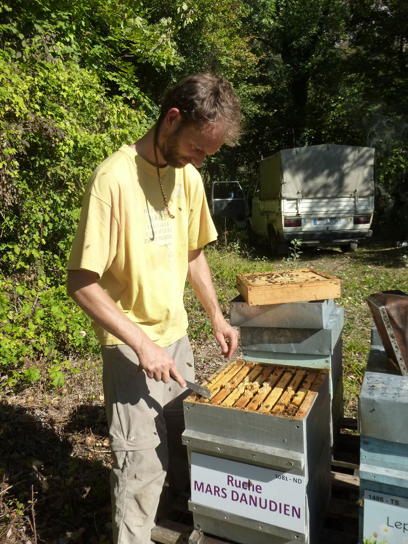 La ruche Mars danudien