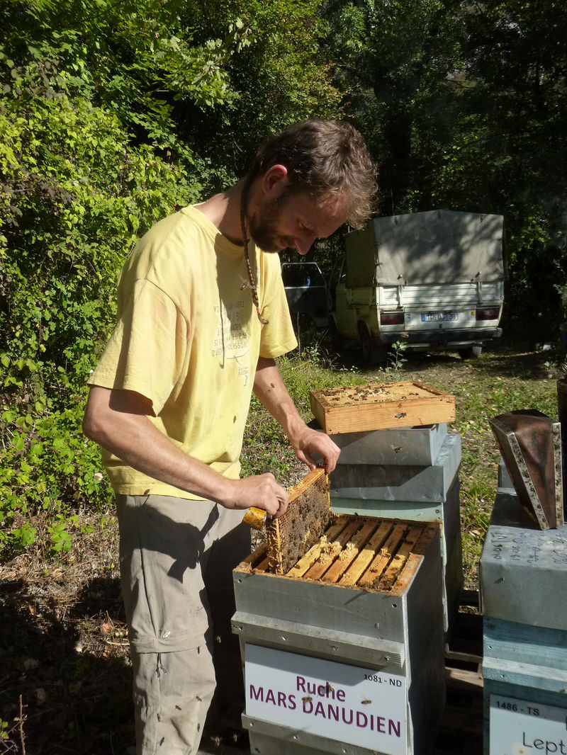 La ruche Mars danudien