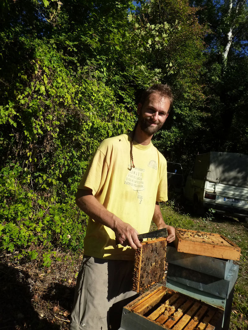 La ruche Mars danudien