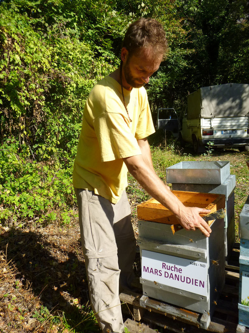 La ruche Mars danudien