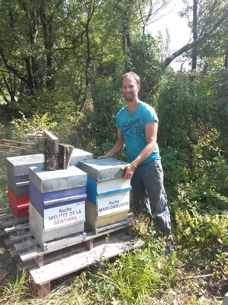 La ruche Mars danudien