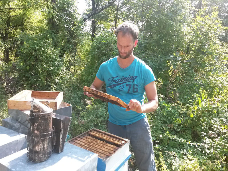 La ruche Mars danudien