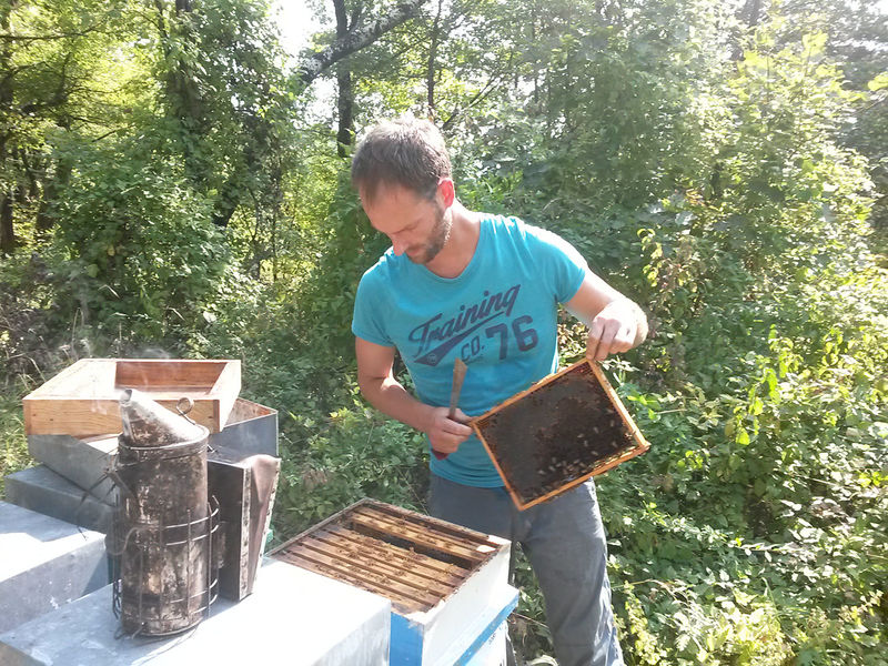 La ruche Mars danudien