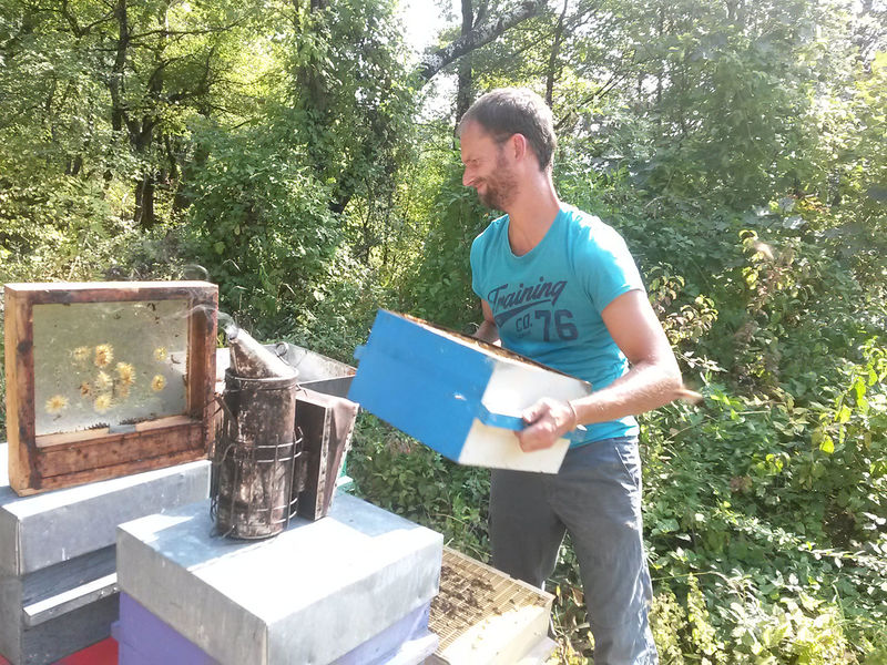 La ruche Mars danudien