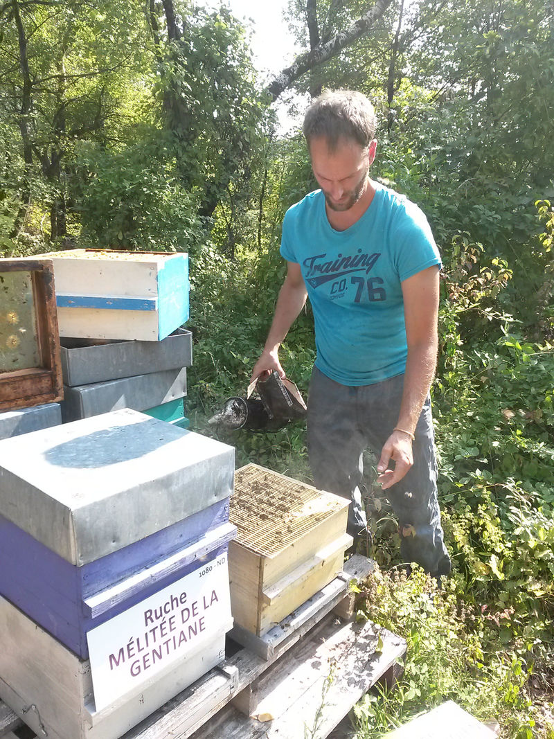 La ruche Mars danudien