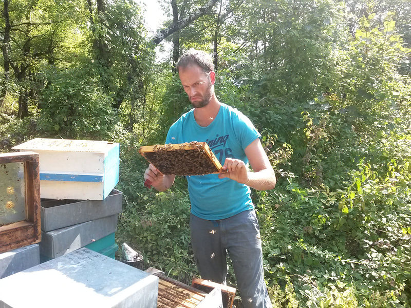 La ruche Mars danudien