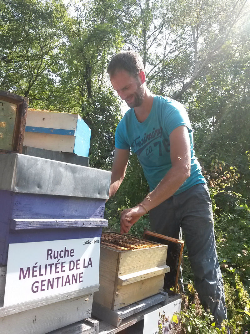 La ruche Mars danudien