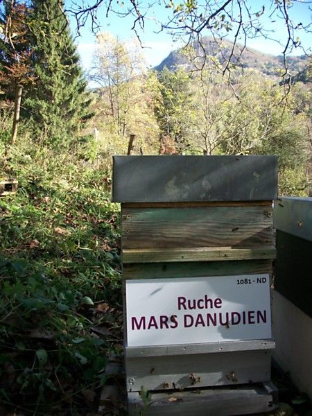 La ruche Mars danudien
