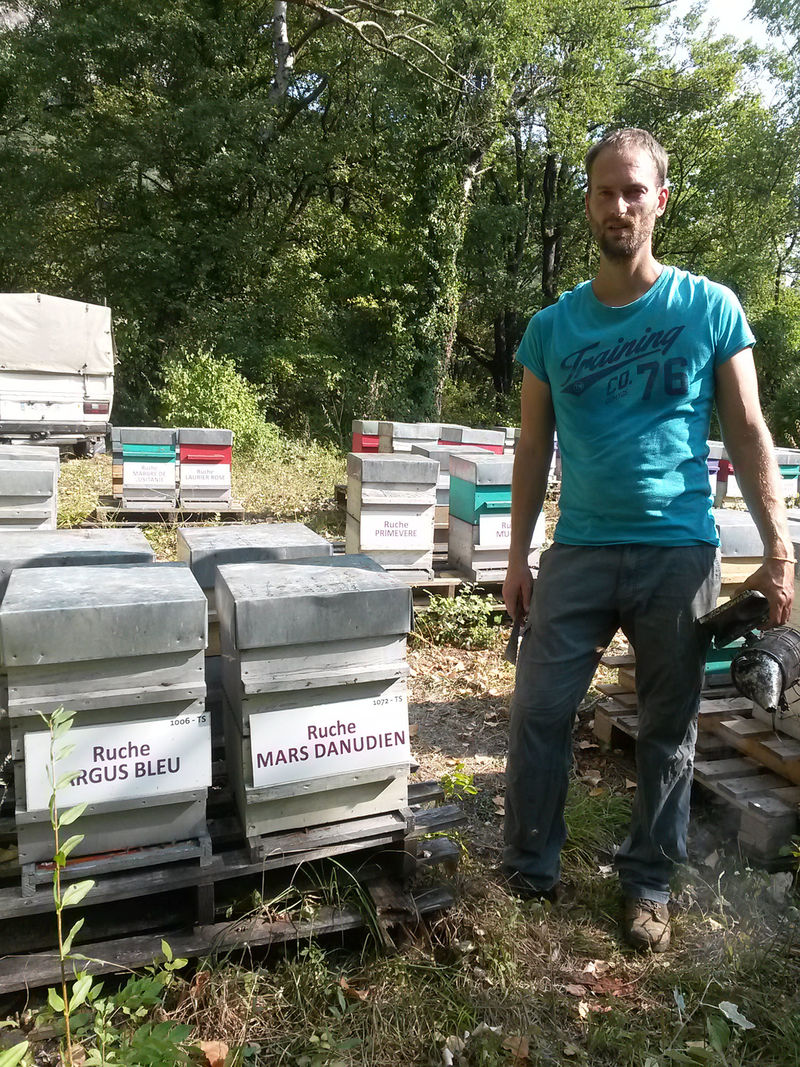 La ruche Mars danudien