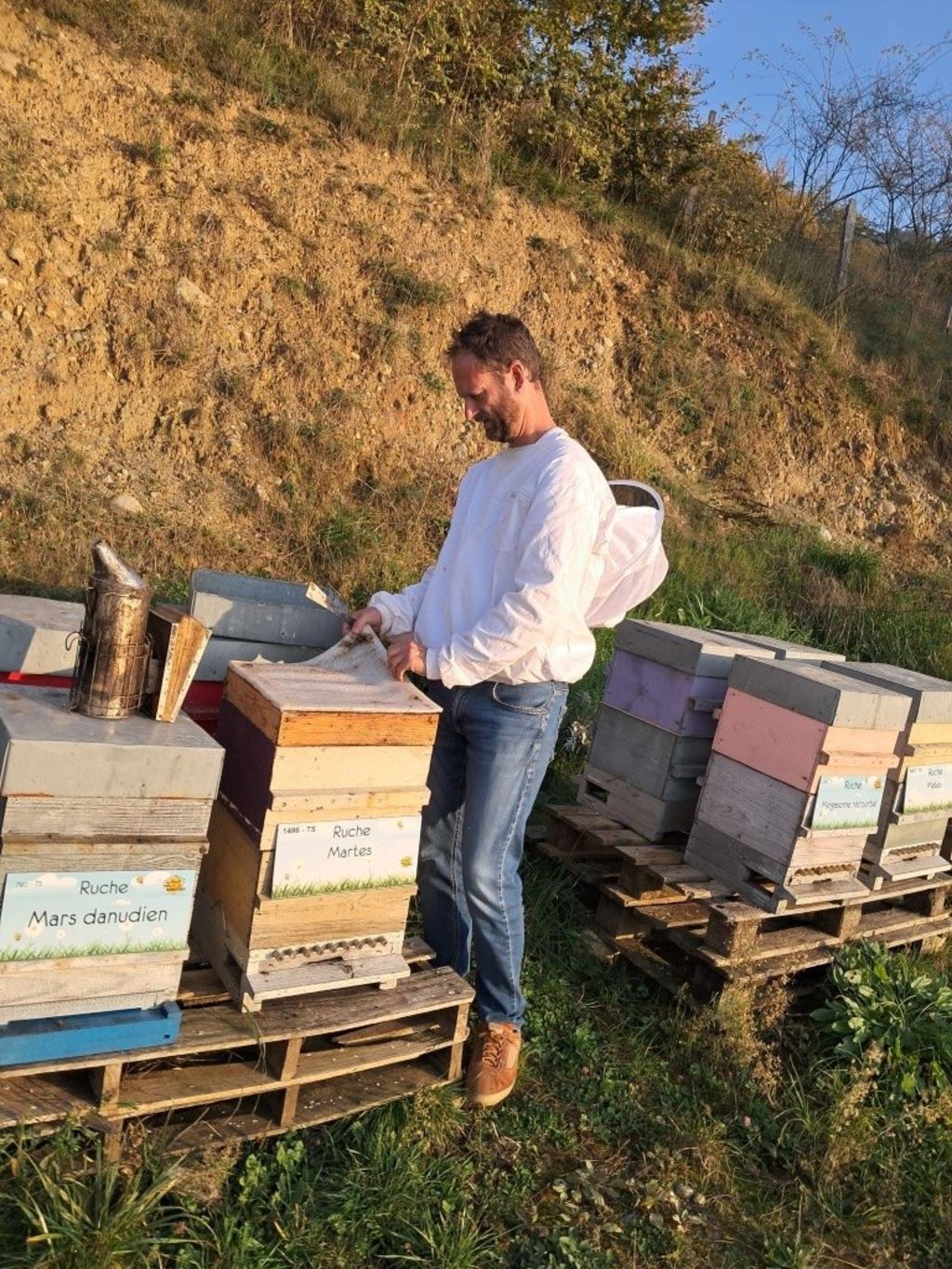 La ruche Mars danudien