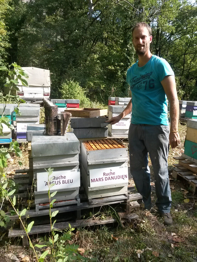 La ruche Mars danudien