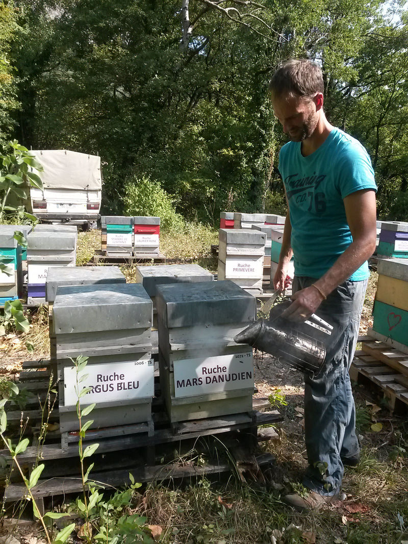 La ruche Mars danudien